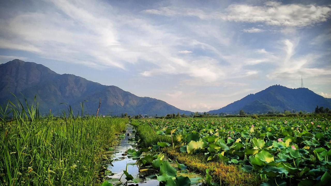 Green View Group Of Houseboats Hotel Srinagar  Exterior photo